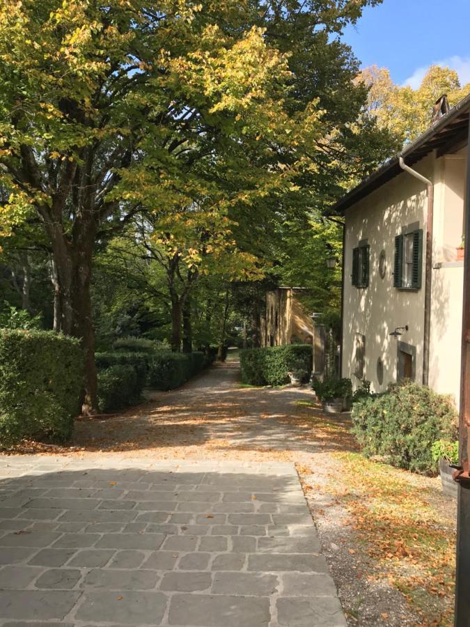 Agriturismo La Fattoria Di Capezzana Carmignano Zewnętrze zdjęcie