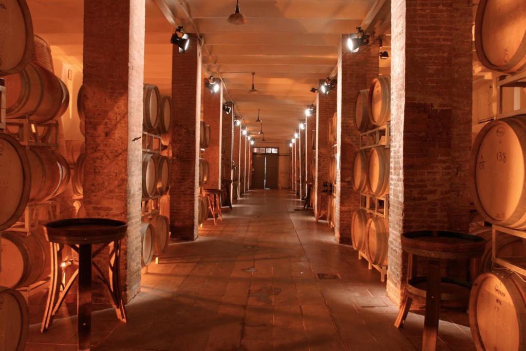 Agriturismo La Fattoria Di Capezzana Carmignano Zewnętrze zdjęcie